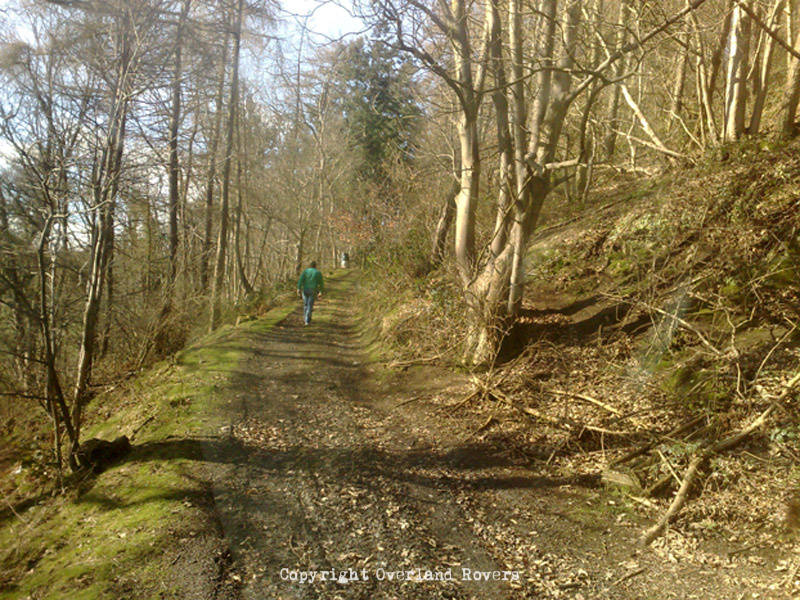 A man dressed in green, walking away from the camera up a dirt track with trees either side