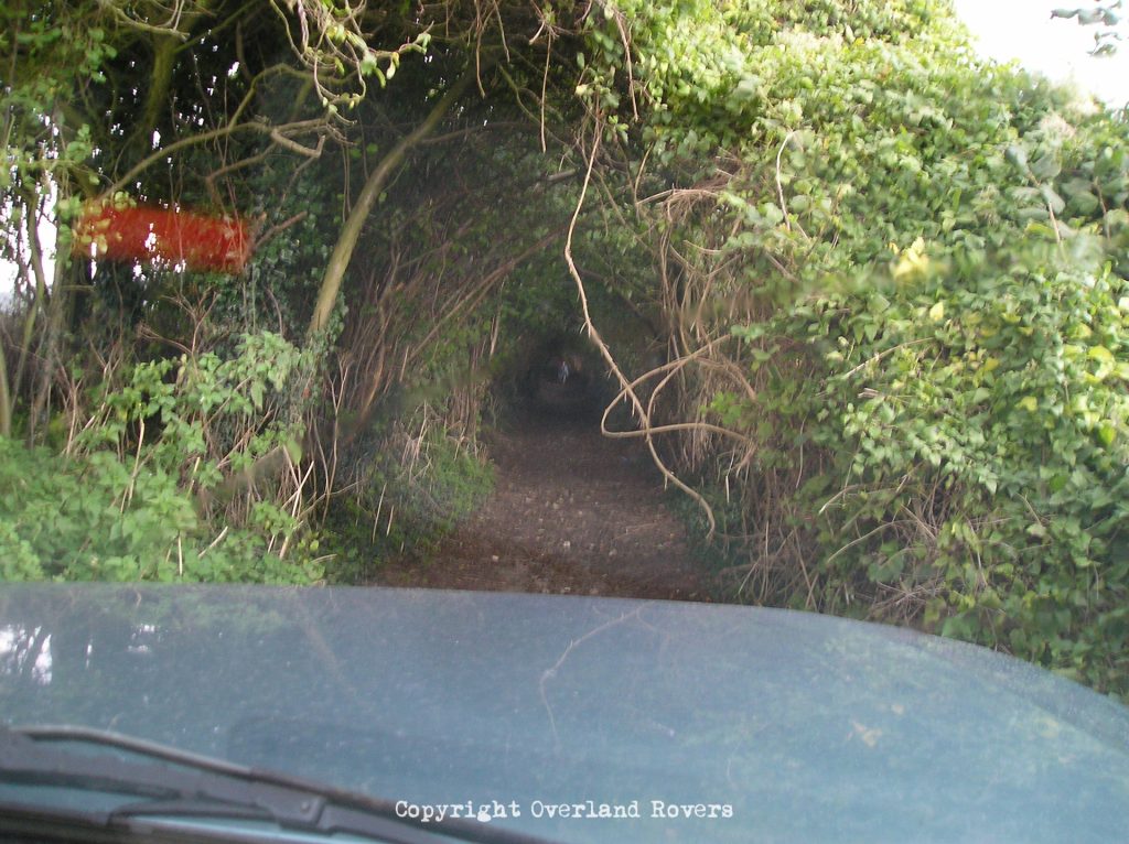 Looking at the windscreen, from inside a blue Land Rover Discovery, at a dirt surface green lane, with the trees and bushes creating a kind of tunnel