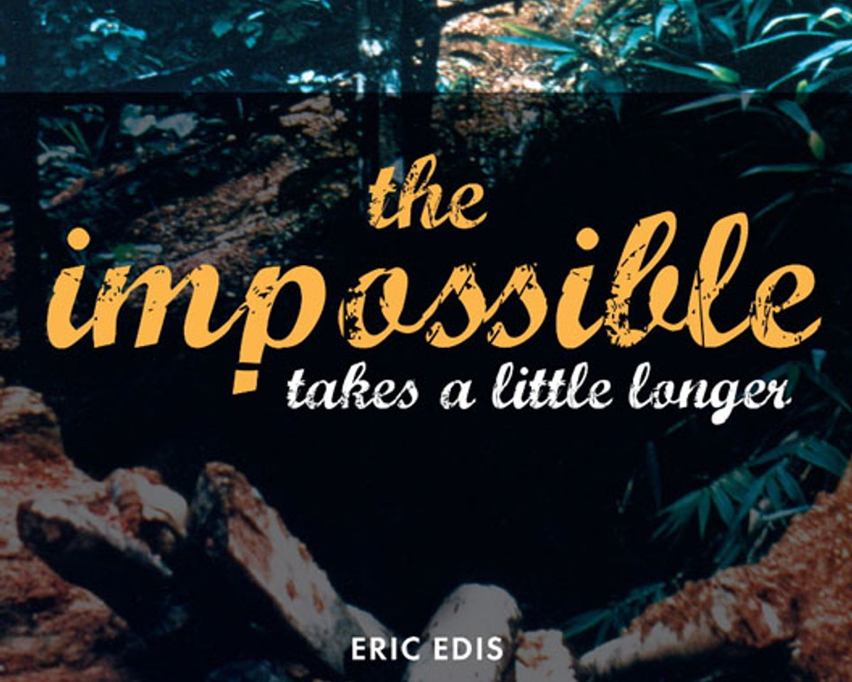 Book Review: The Impossible Takes a Little Longer